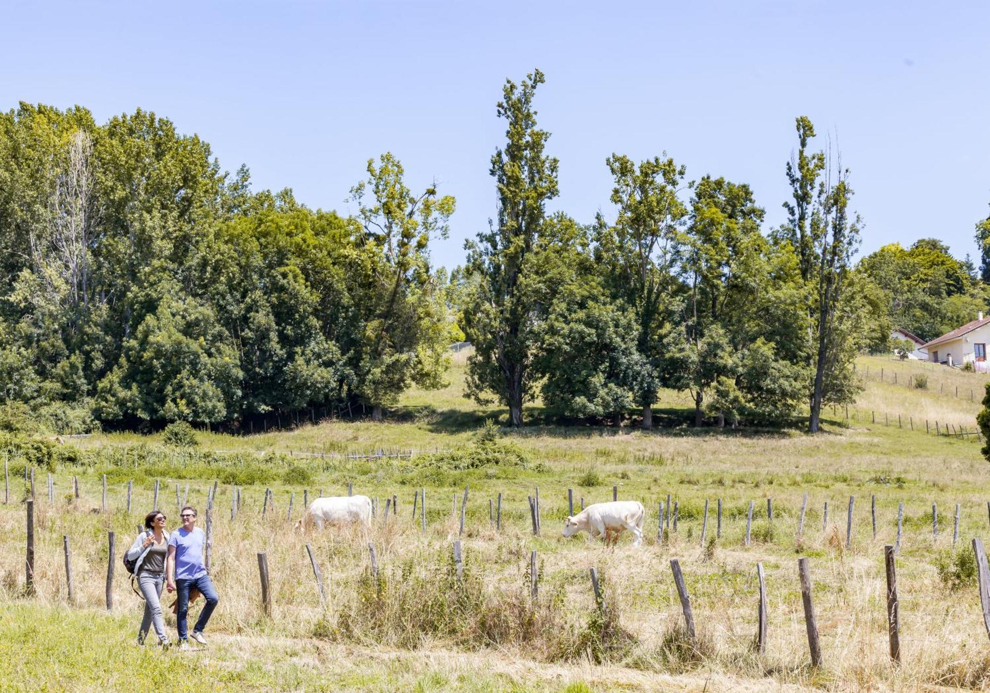 Plaine Et Colline Chambres Et Table D'Hotes Isere Gillonnay Eksteriør bilde